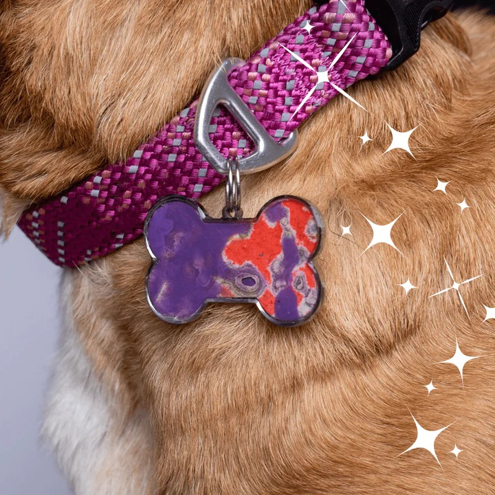For the Pet Lover