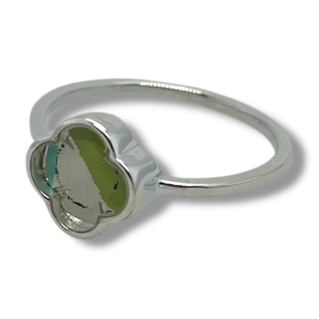 Dani Ring | Silver