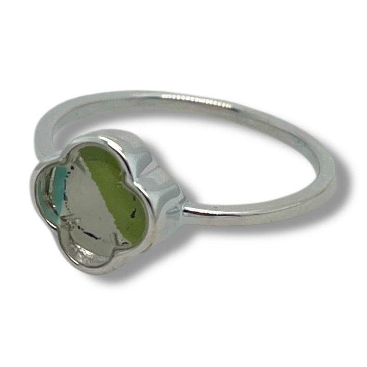 Dani Ring | Silver