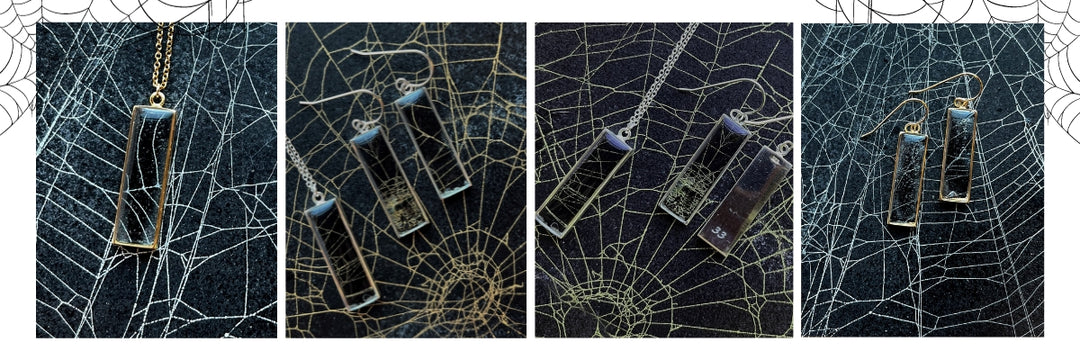 Spellbound Collection: Celebrating Beauty in Unexpected Places