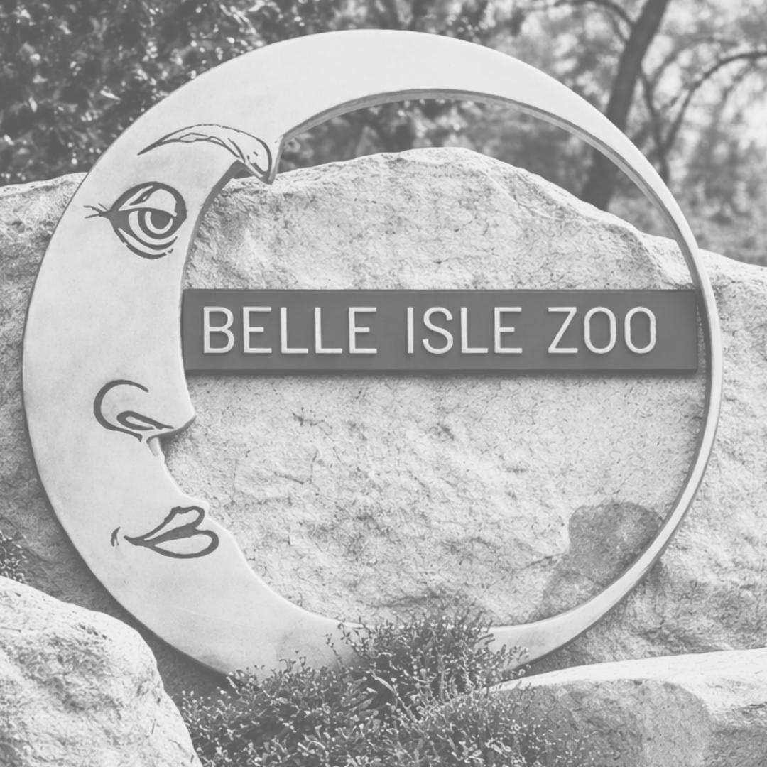 The Belle Isle Zoo Collection All
