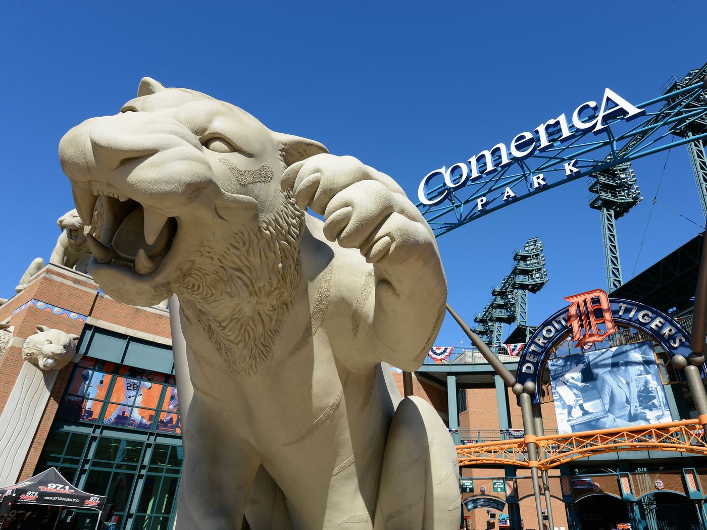 Tigers Father's Day
