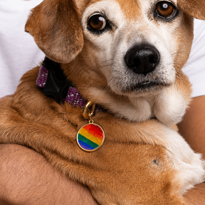 Pet Tag | Circle