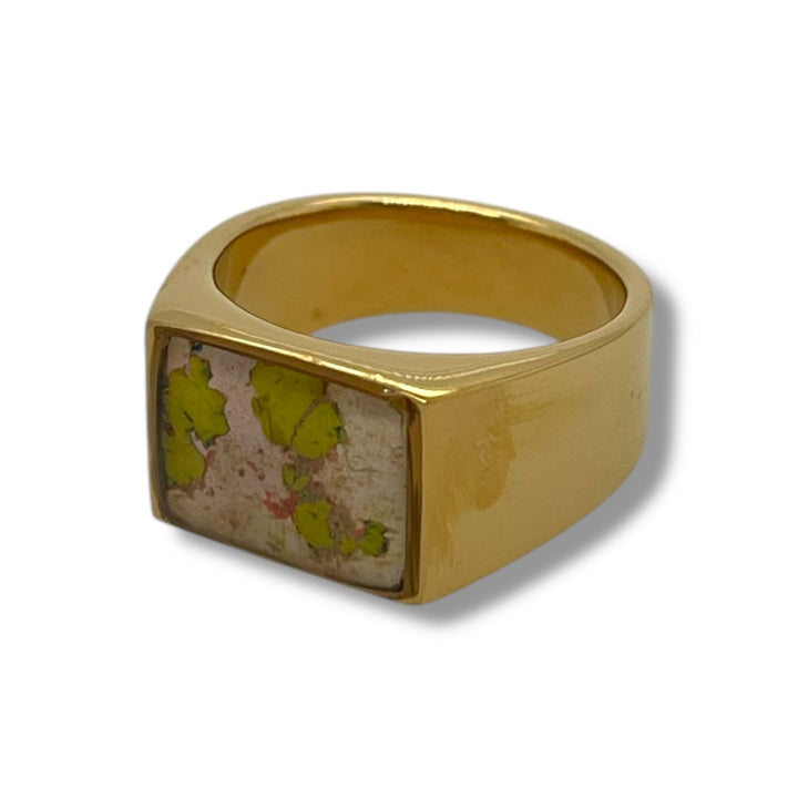 Kim Ring | Gold | MSU