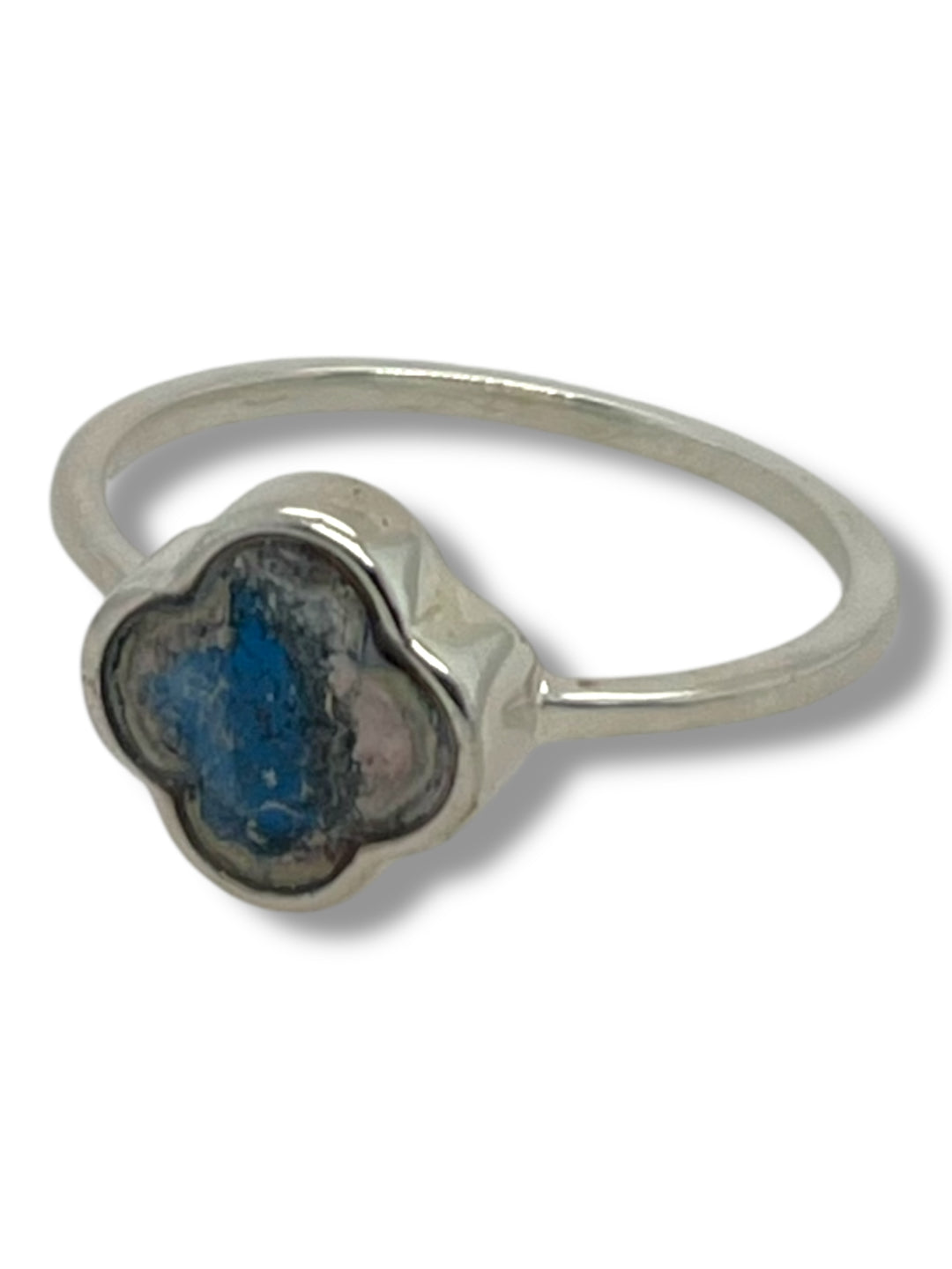 Dani Ring | Silver