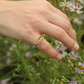 Lauren Ring | Gold | Size 5