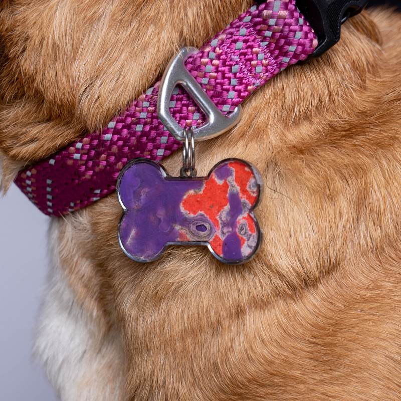 Pet Tag