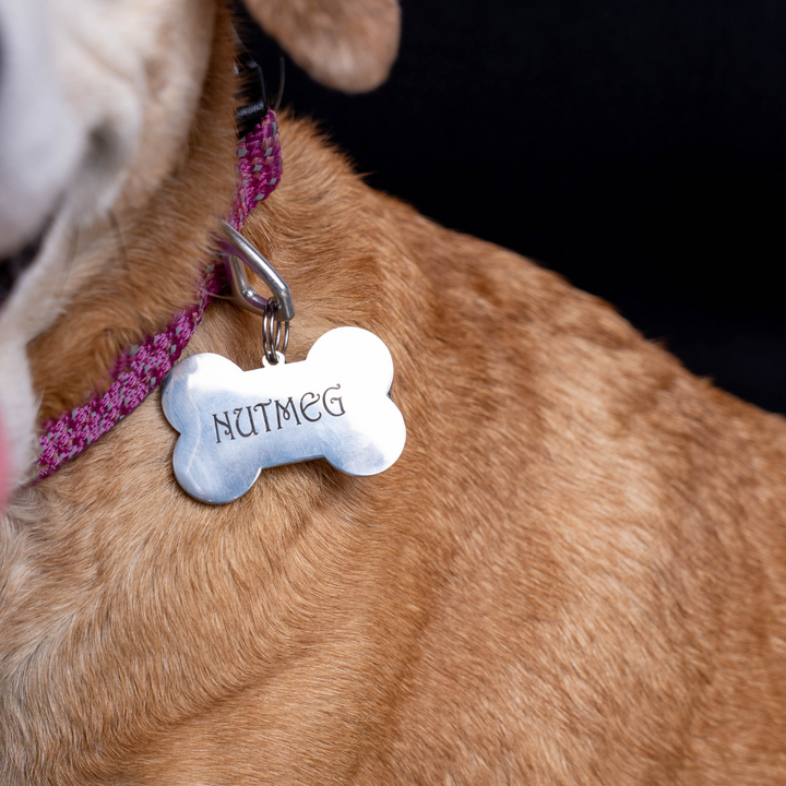 Pet Tag | Stainless Steel | Bone