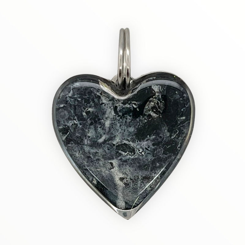 Pet Tag